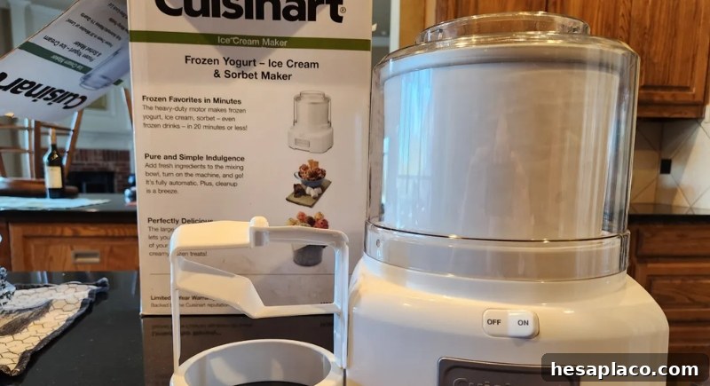 Ice cream maker