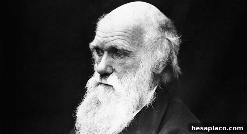 Charles Darwin
