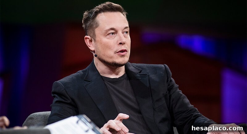 Elon Musk