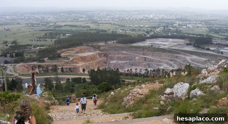 img 209004 13