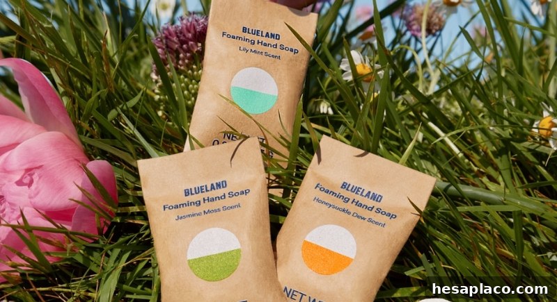 Blueland cleaning products
