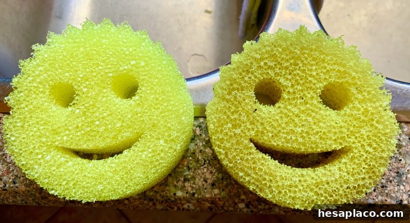Scrub Daddy sponge