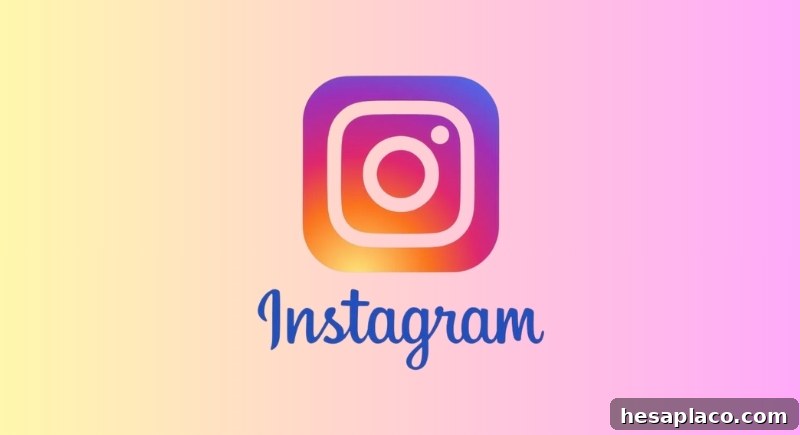 Instagram app