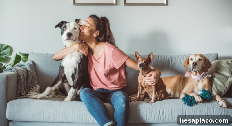 Pet-Friendly Features
