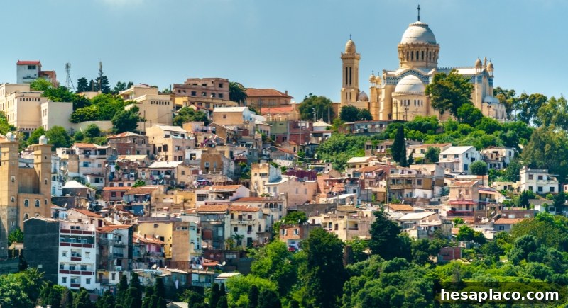 Algiers city view