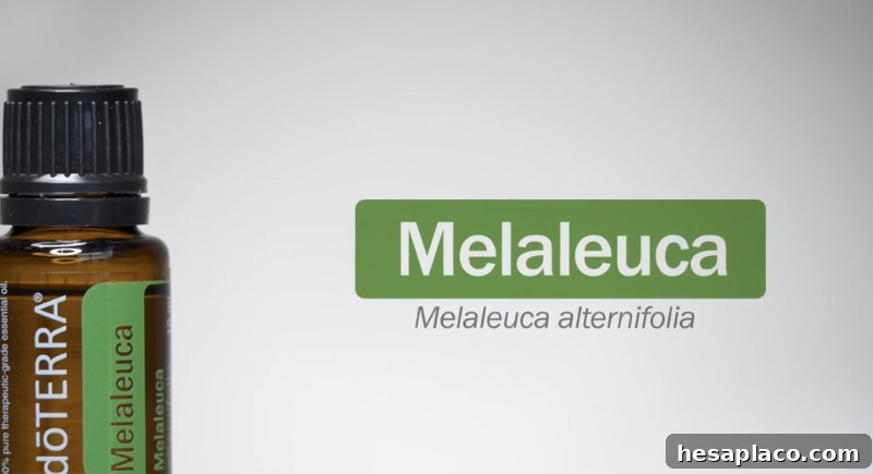 img 213445 12