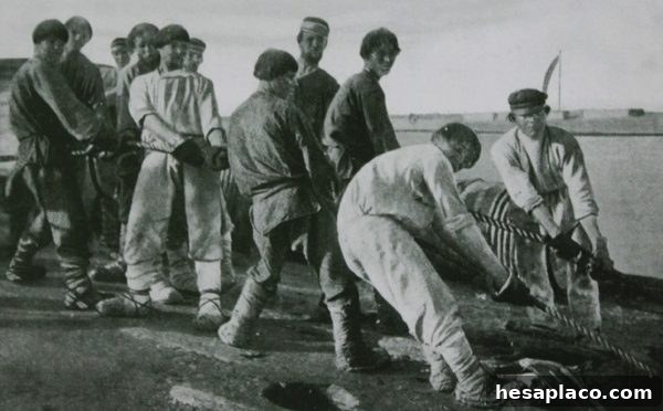 15 Most Dreaded Jobs in History People Refused to Do 5 img 213480 4