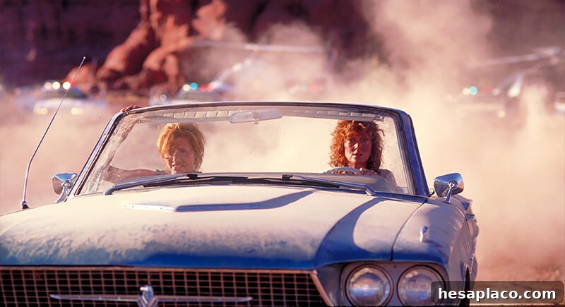 Thelma and Louise Thunderbird