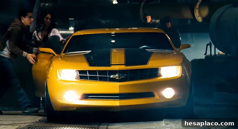 Bumblebee