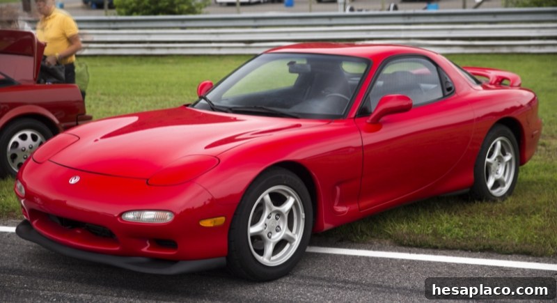 img 214008 1