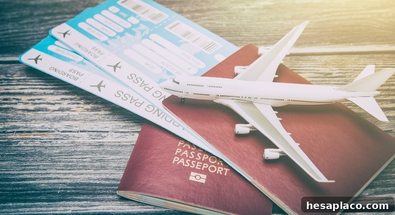 Business travel essentials