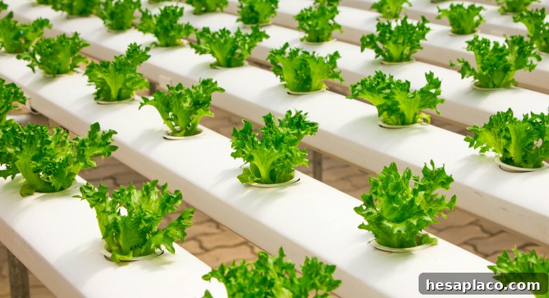 Organic farms
