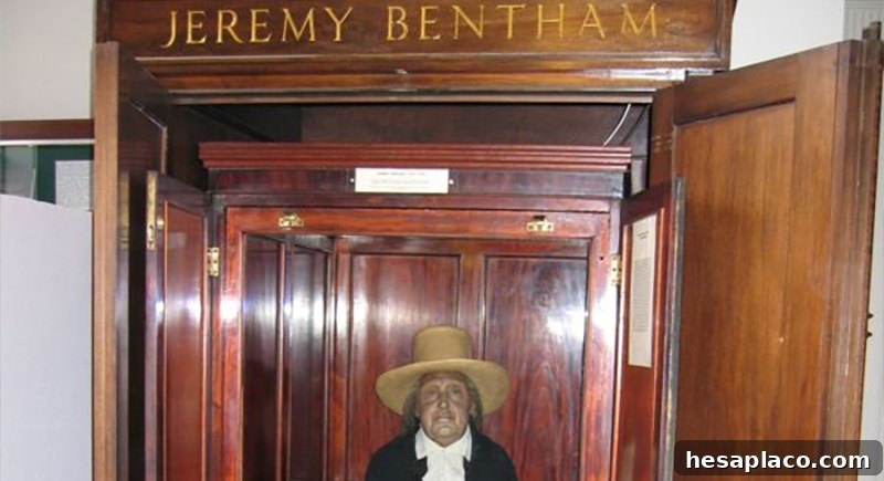 img 215063 10