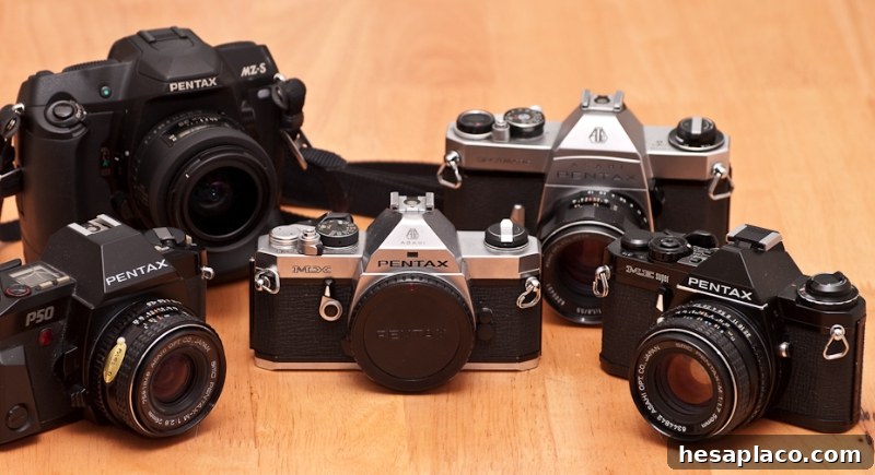 SLR Cameras