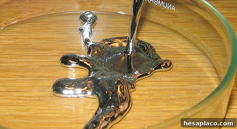 img 219515 1