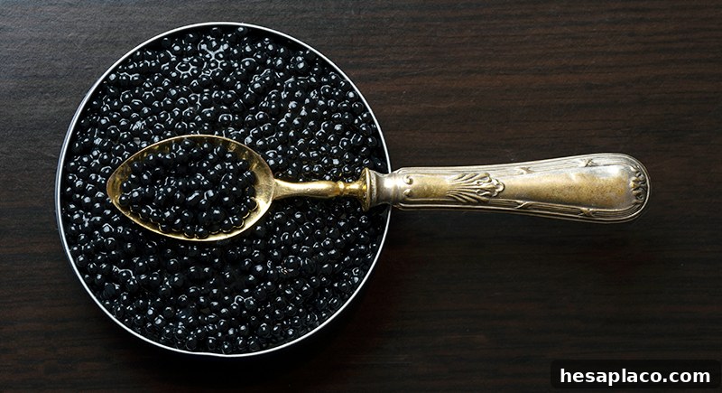Tin of Beluga caviar