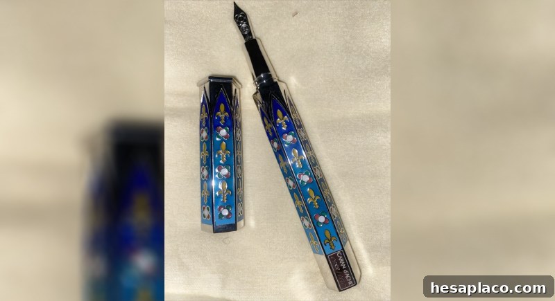 Caran d’Ache Gothica pen
