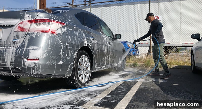 img 220287 4