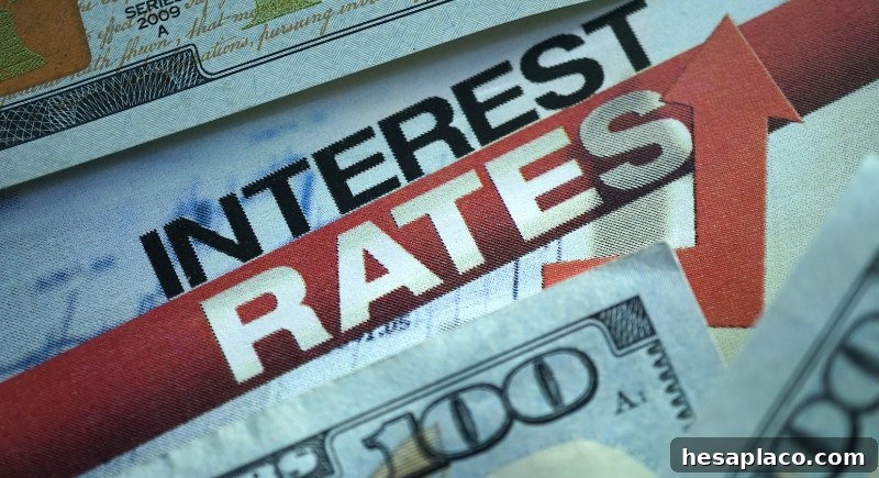 Earn interest on cash