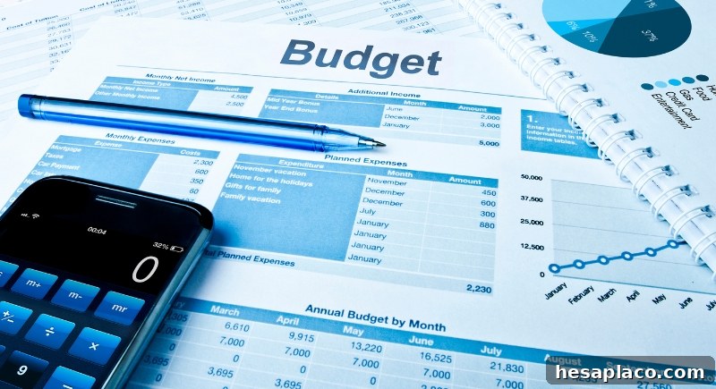 Revisit budget