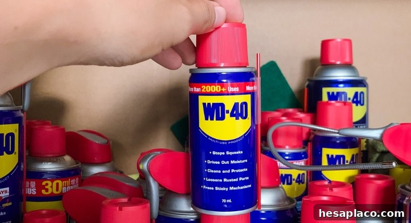 WD-40 spray can