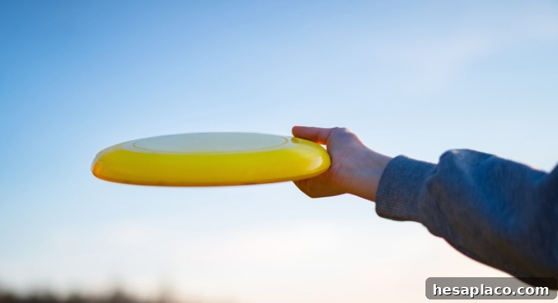 Flying Frisbee