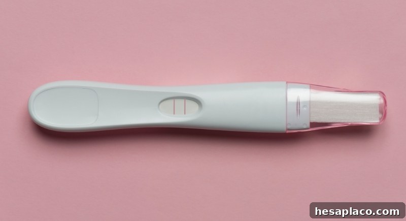 Pregnancy test kit
