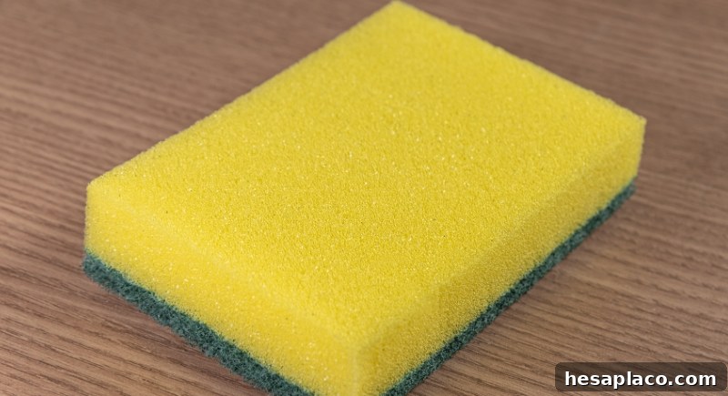 Kitchen scrubber