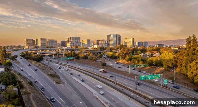 img 222572 6