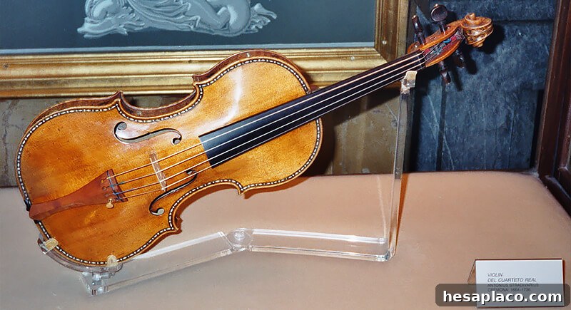 Stradivarius violin