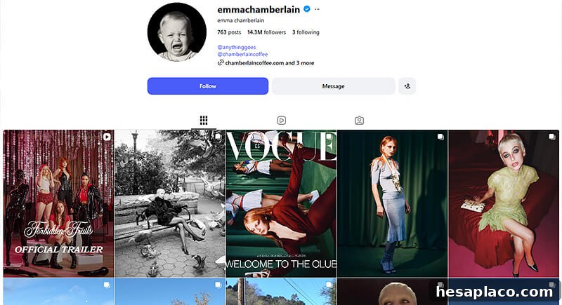 Emma Chamberlain social media