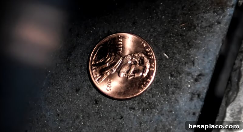img 224250 1