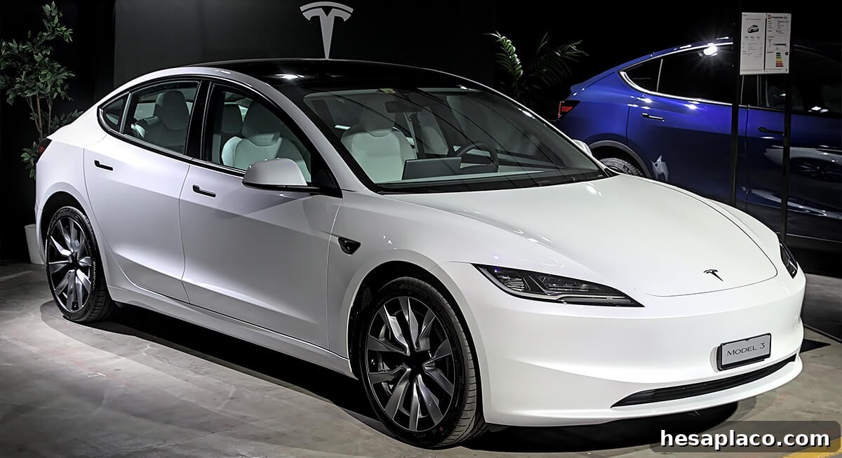 Tesla Model 3 and Model Y