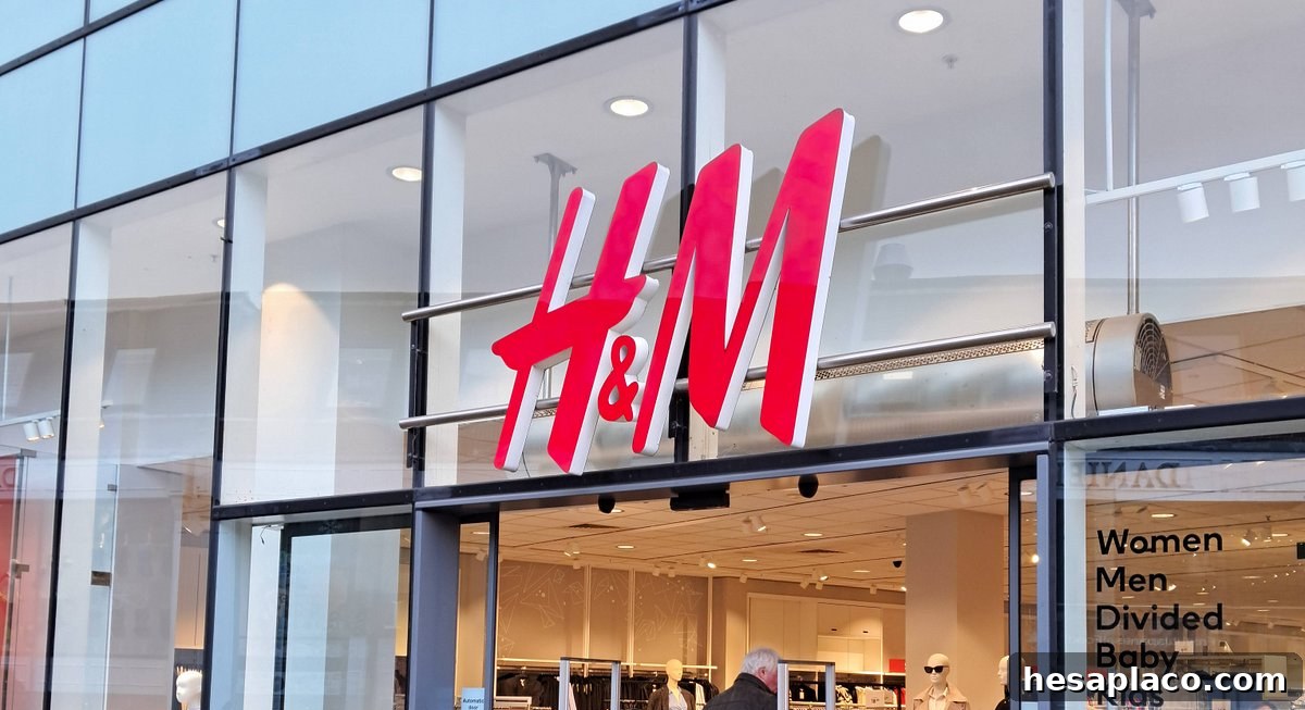 img 224881 9