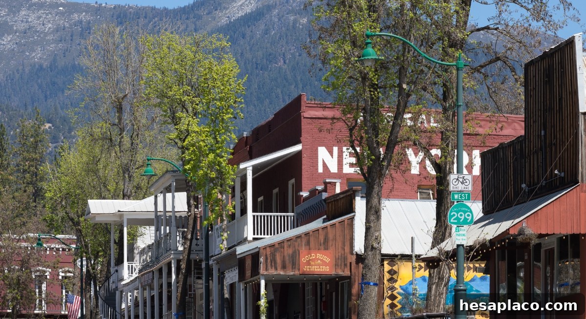 img 227410 1