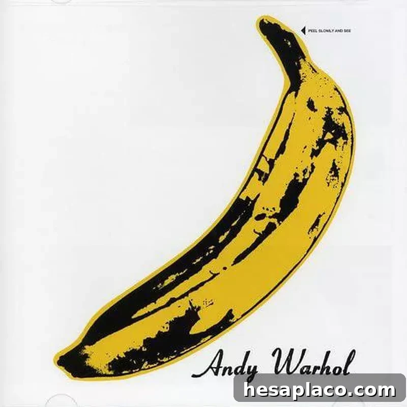 The Velvet Underground and Nico vinyl record