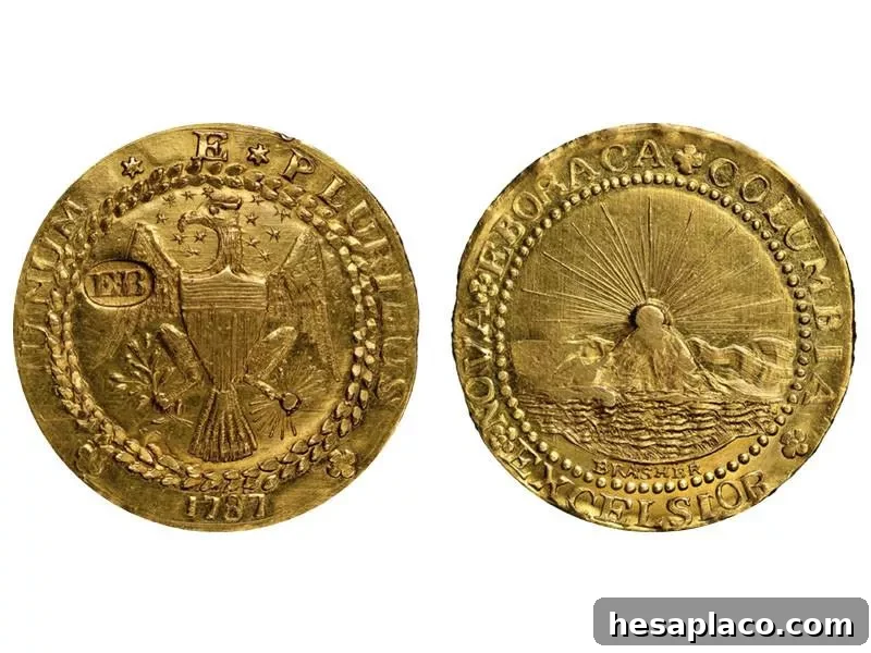 1787 Brasher Doubloon, EB Punch on Wing