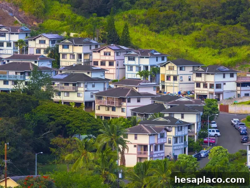 Hawaii Suburban Neighborhood
