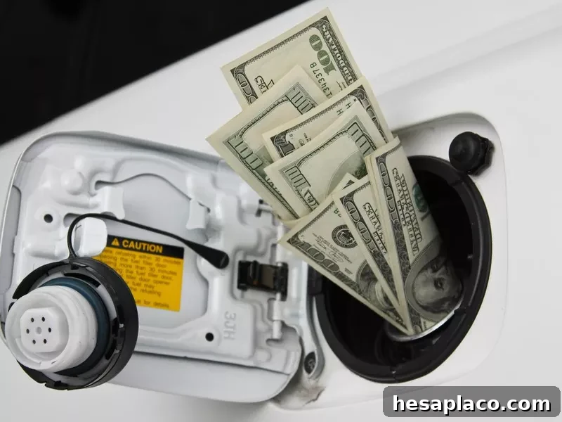 Cost of fuel