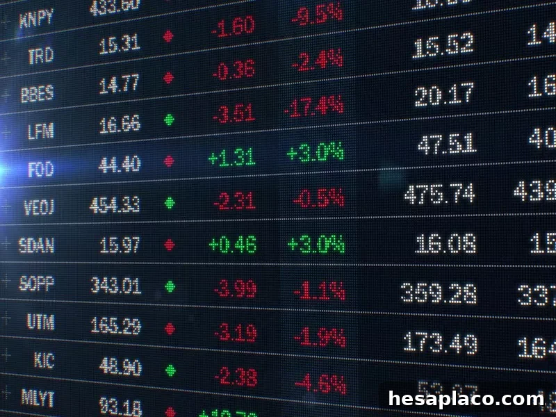 Stock market exchanges