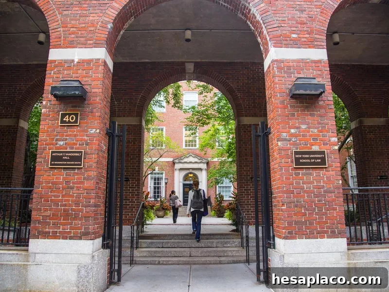 NYU Law School