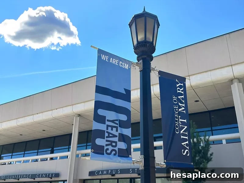 College of Saint Mary