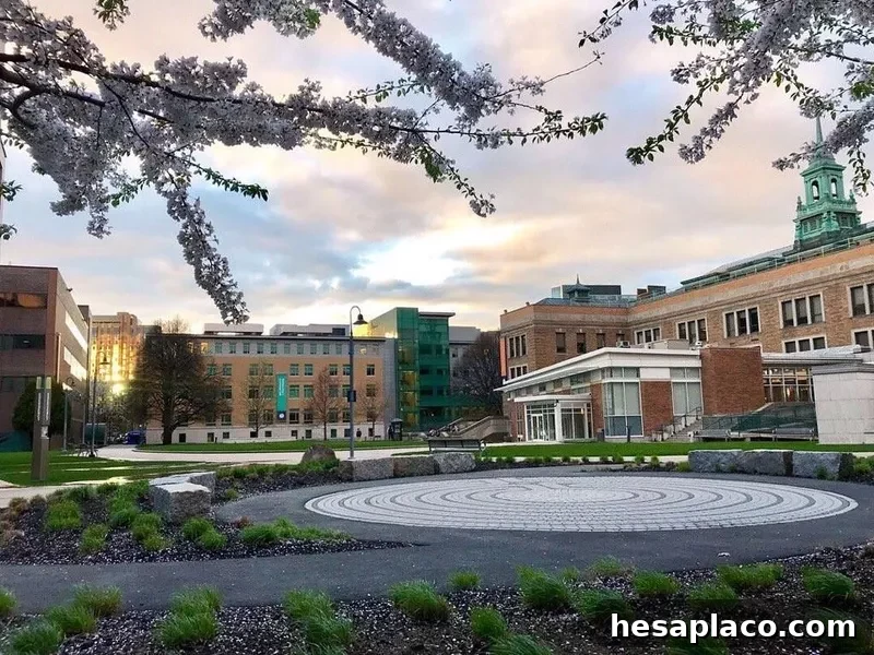 Simmons University