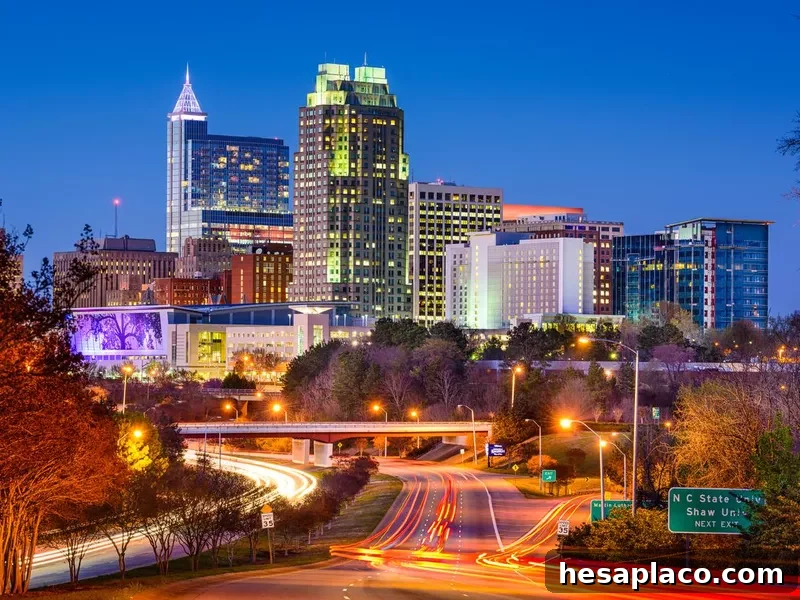 Raleigh Cityscape