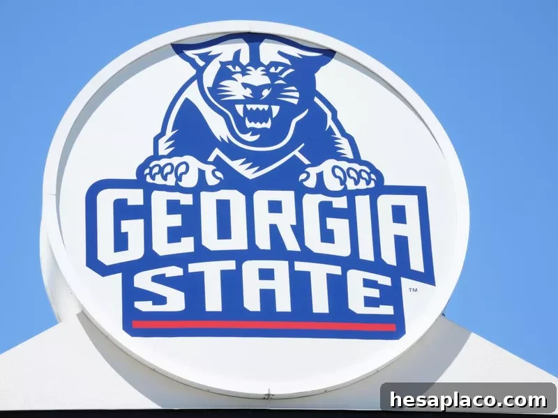 Georgia State sign