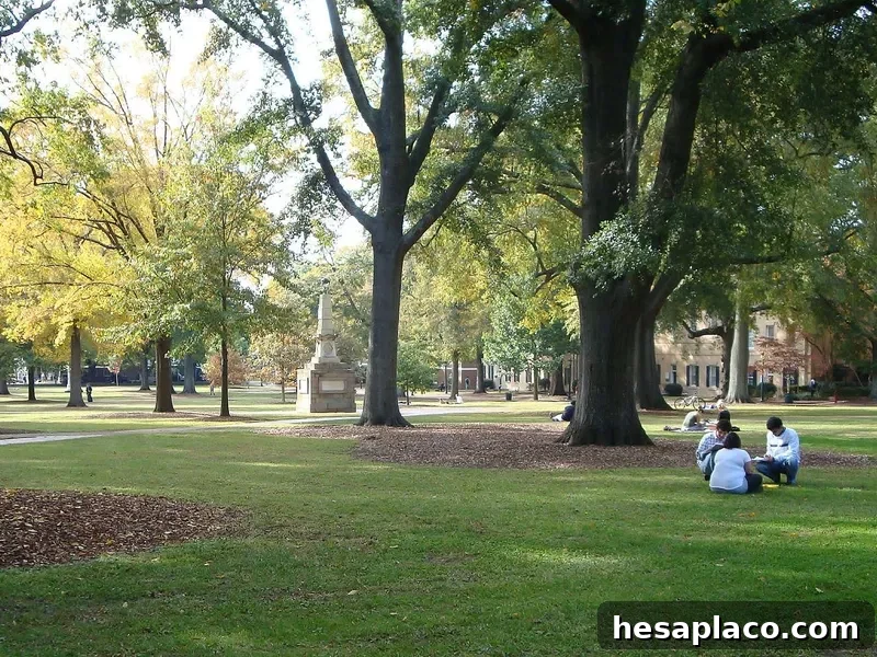 University of South Carolina Horseshoe
