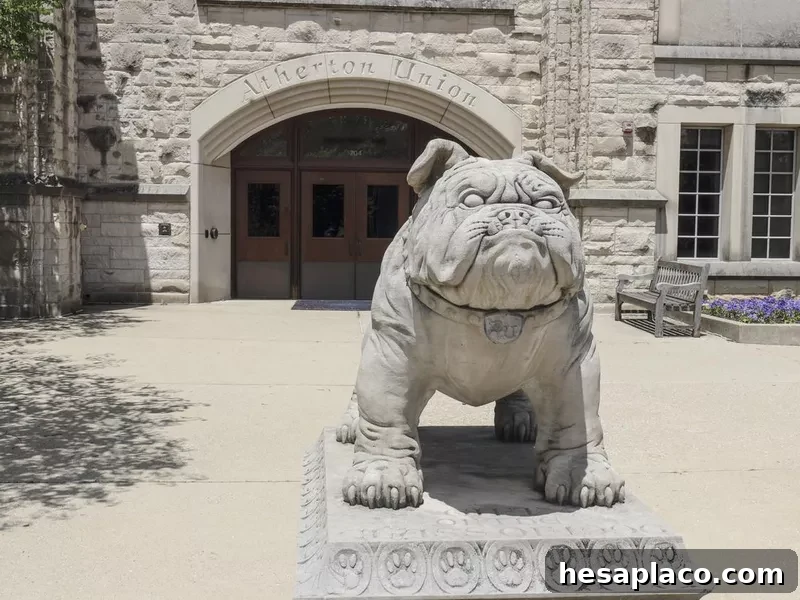 Butler University's Butler Blue