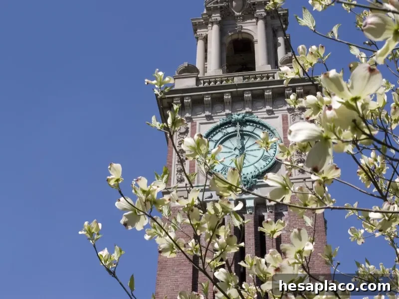 Brown University springtime