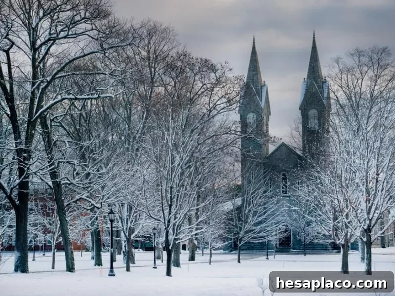 Bowdoin College