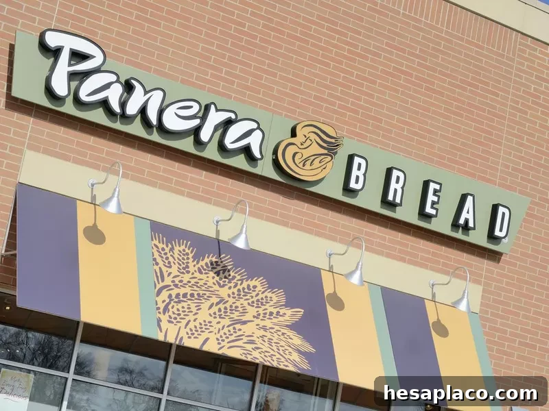 Panera Bread